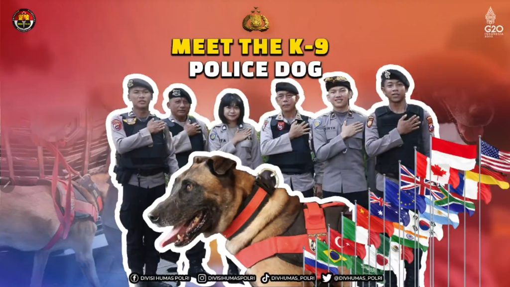 Meet the K=9 Police Dog Indonesia