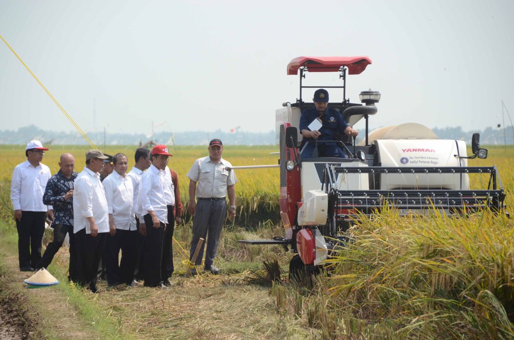 Presiden Jokowi Optimalkan Pertanian, Kunjungan Kerja ke Karawang Dorong Kemandirian Pangan. Sumber Pemkab.