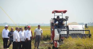 Kunjungan Kerja Presdien Jokowi ke Karawang, Dorong Kemandirian Pangan! Presiden Jokowi Optimalkan Pertanian, Kunjungan Kerja ke Karawang Dorong Kemandirian Pangan. Sumber Pemkab.