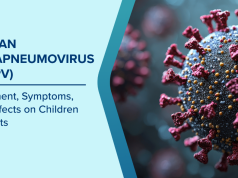Virus HMPV Teridentifikasi di Indonesia, Menkes Imbau Masyarakat Tetap Tenang Human Metapneumovirus (HMPV) Teridentifikasi di Indonesia