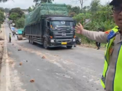 Petugas Siaga 24 Jam di Jalur Jambi–Palembang, Polri dan Dishub Pastikan Mudik 2026 Tetap Aman Petugas Siaga 24 Jam di Jalur Jambi–Palembang, Polri dan Dishub Pastikan Mudik 2026 Tetap Aman