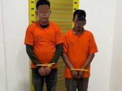 Polda Sumut Amankan 169,6 Kg Ganja di Deli Serdang, Tiga Pelaku Diamankan Tak Berhenti di 52 Kg, Pengembangan Bareskrim Ungkap Jejak 169,6 Kg Ganja di Deli Serdang